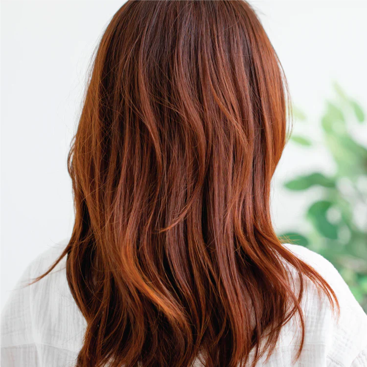 KERACOLOR Color+Clenditioner Auburn (12oz)