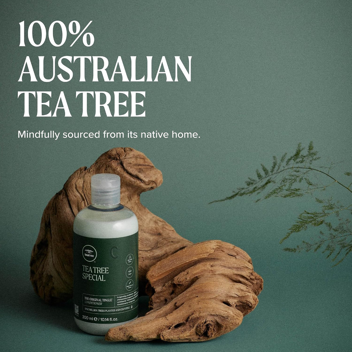 Paul Mitchell Tea Tree Special Conditioner 300ml